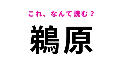 【漢字クイズ】「鵜原」はなんて読む？「鵜」の読み方がわかったら天才！