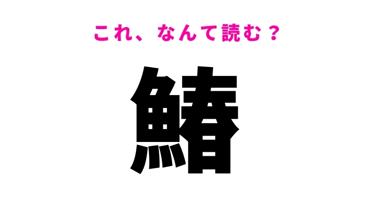 【鰆】はなんて読む？冬から春が旬の食材！
