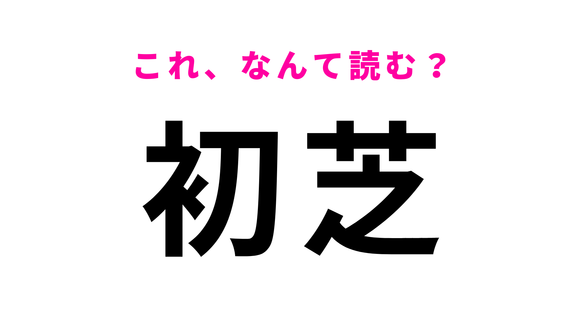 「初芝」はなんて読む？大阪府にある駅名！