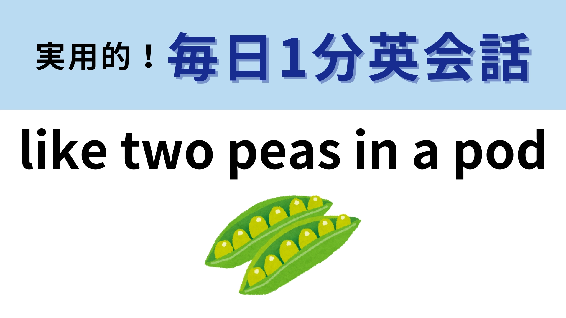 「like two peas in a pod」の意味は?「pod」は「莢(さや)」のこと!【1分英会話】