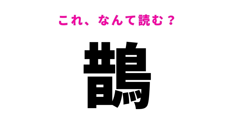 【鵲】はなんて読む?鳥の種類を表す漢字!
