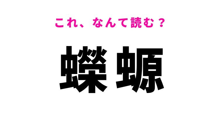 【蠑螈】はなんて読む？雨の日に姿を現しやすい生き物！