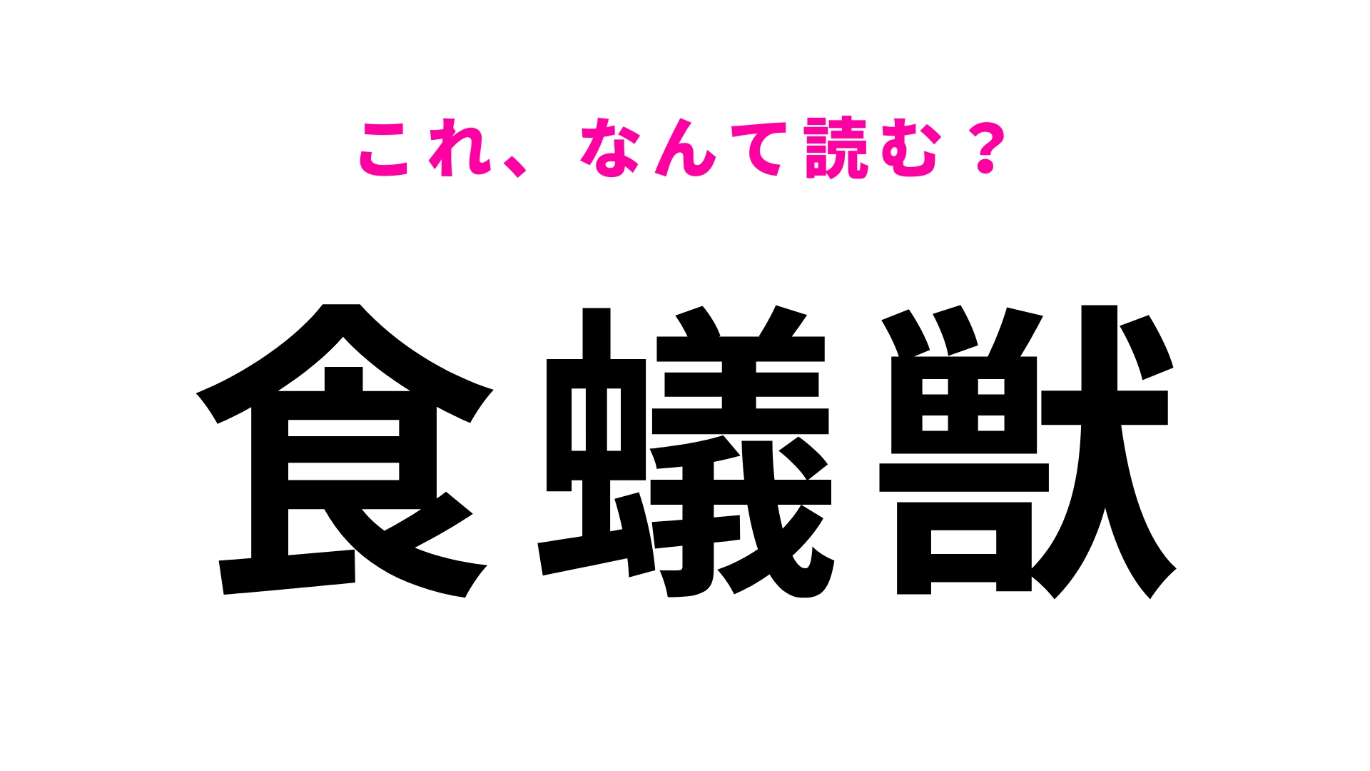 【食蟻獣】はなんて読む？漢字から連想してみて！