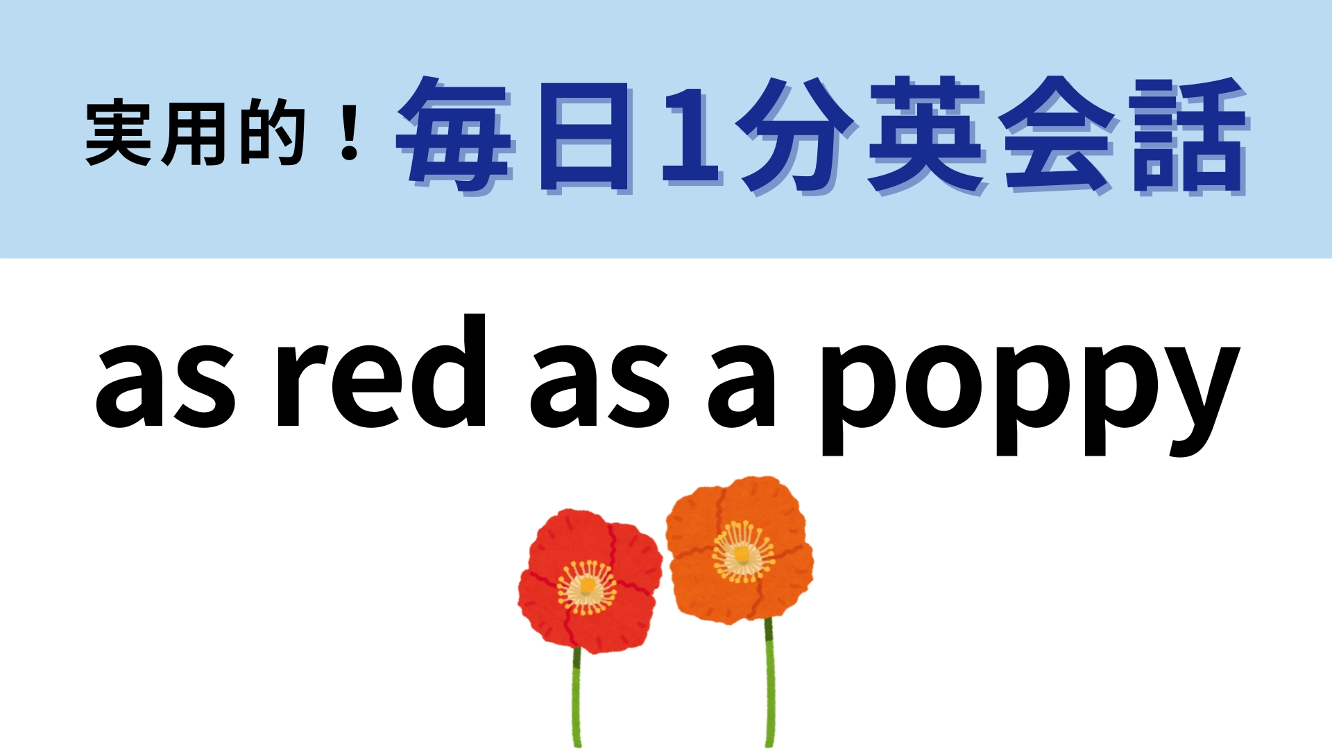 「as red as a poppy」の意味は？よく考えればわかるかも…！？【1分英会話】