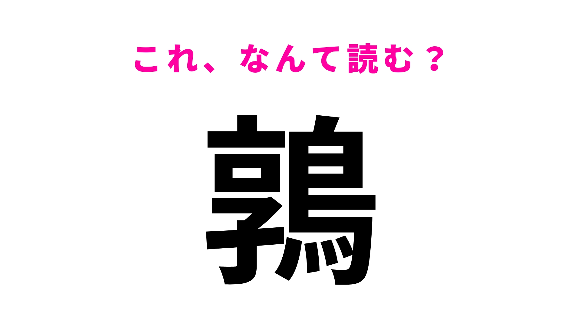 【漢字クイズ】「鶉」はなんて読む?別名「小花鳥」...!