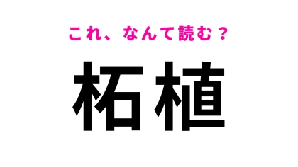 「柘植」はなんて読む？ほとんどの人が一発で読めない！