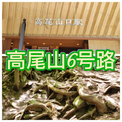 【日帰り】高尾山6号路