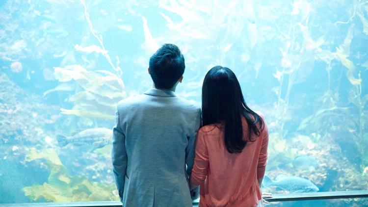 雨でも楽しい♡ おすすめ雨の日デートスポット3選