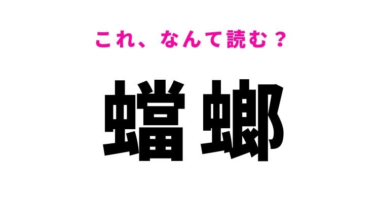 【蟷螂】はなんて読む？暖かい時期に多い生き物の名前！