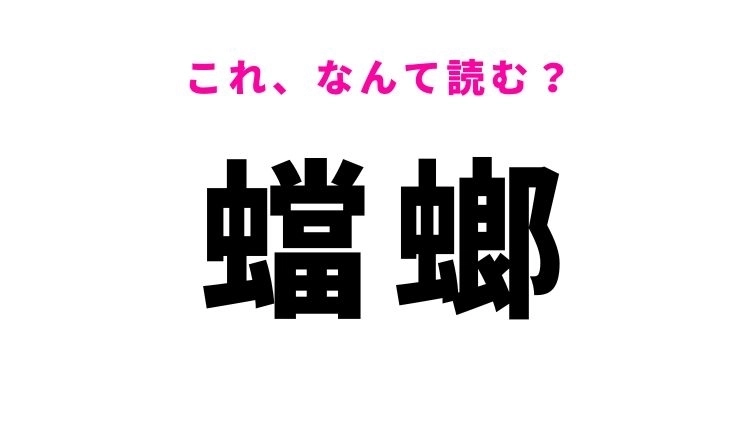 【蟷螂】はなんて読む？暖かい時期に多い生き物の名前！