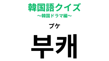 「부캐（プケ）」の意味は？ゲーム用語から発展した流行語...！【韓国語クイズ】