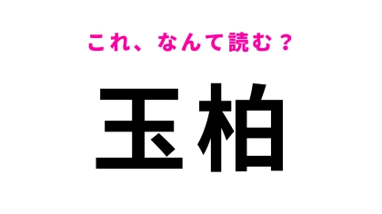 「玉柏」はなんて読む？答えはひらがな4文字！