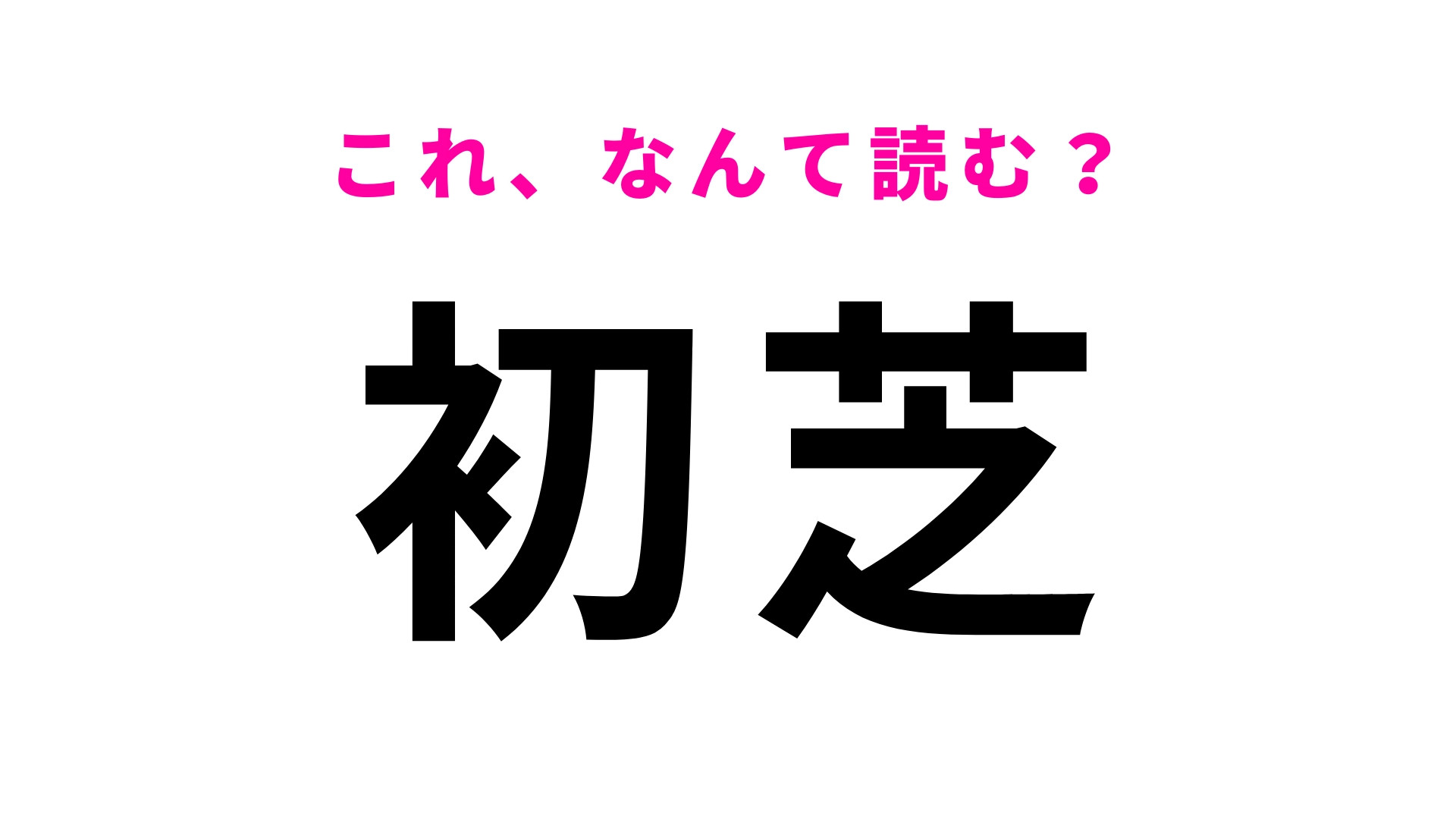 「初芝」はなんて読む？大阪府にある駅名！