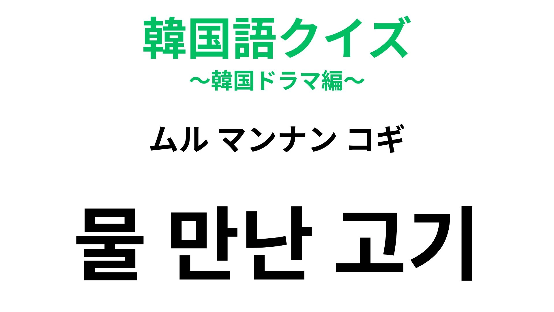 【韓国語クイズ】「물 만난 고기(ムル マンナン コギ)」の意味は?得意なことをしているときに使う慣用句!