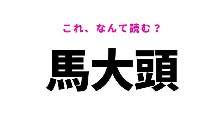 【馬大頭】はなんて読む？夏に現れる昆虫の名前！