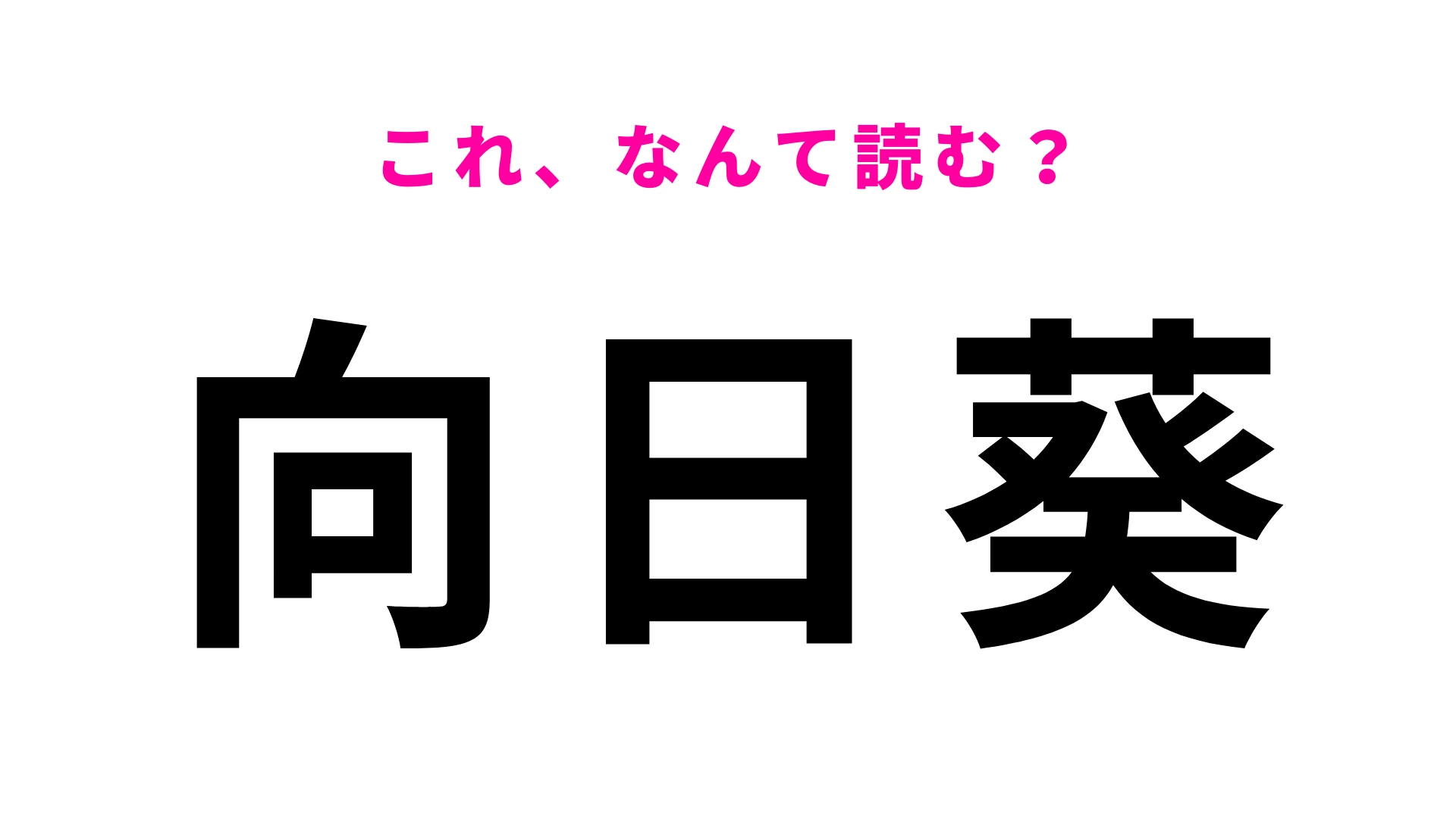 【漢字クイズ】「向日葵」はなんて読む?夏に咲く黄色い花といえば…?