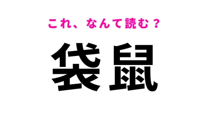 【袋鼠】はなんて読む？動物を表す漢字です！