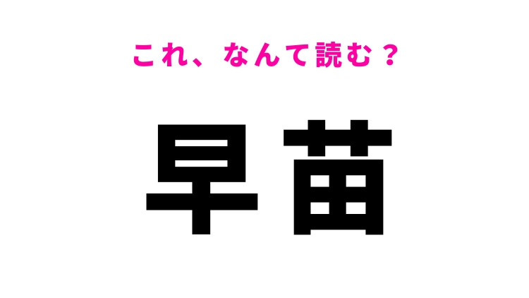 【早苗】はなんて読む？ひらがな3文字の夏の季語！