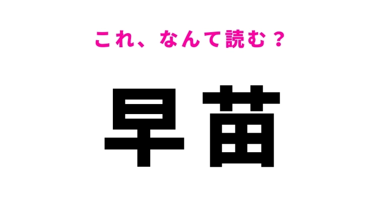 【早苗】はなんて読む？ひらがな3文字の夏の季語！