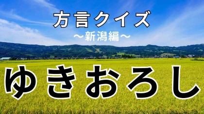 「ゆきおろし」の意味は？「雪下ろし」ではなくて…？【方言クイズ】