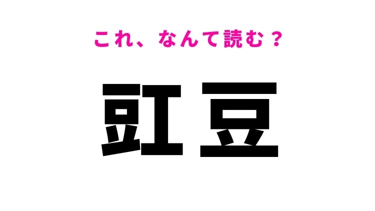 【豇豆】はなんて読む？細長いさやが特徴の植物！