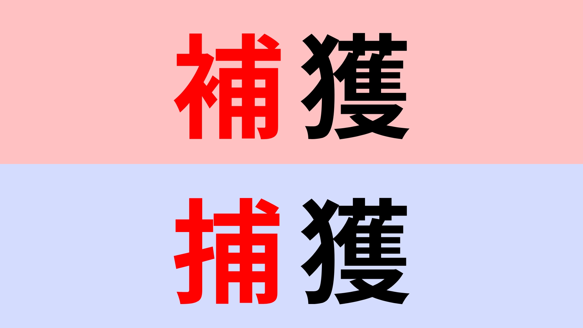 【漢字クイズ】「補獲」or「捕獲」正解はどっち?意外と間違えやすい!