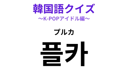 「플카（プルカ）」の意味は？アイドルのコンサートの必需品！