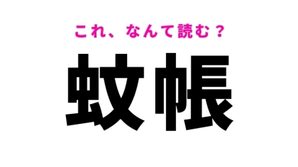 【漢字クイズ】「蚊帳」の読み方はなに？夏に関係する寝具のこと！