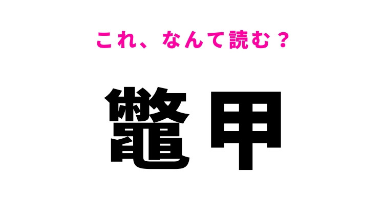 【鼈甲】はなんて読む？よく耳にするけど書けない難読漢字