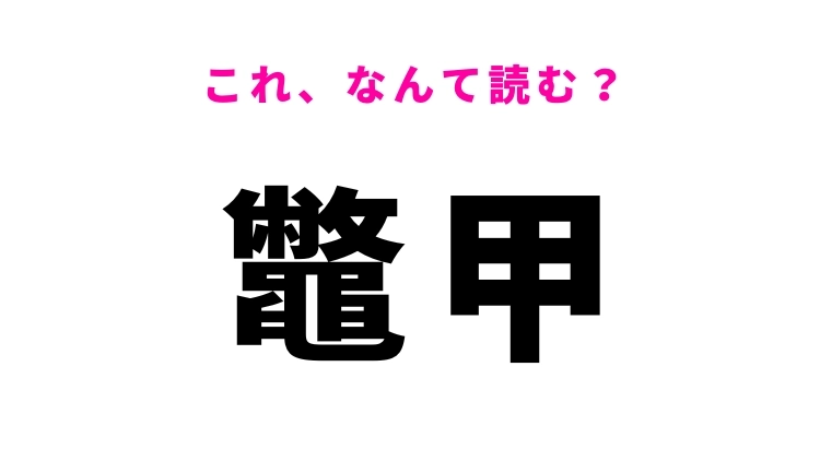 【鼈甲】はなんて読む？よく耳にするけど書けない難読漢字