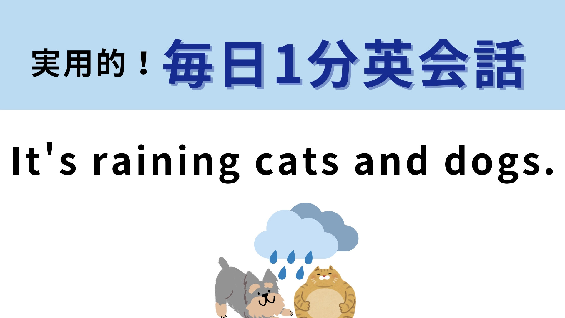 「It's raining cats and dogs.」の意味は？イヌやネコが降ってくるわけではない！
