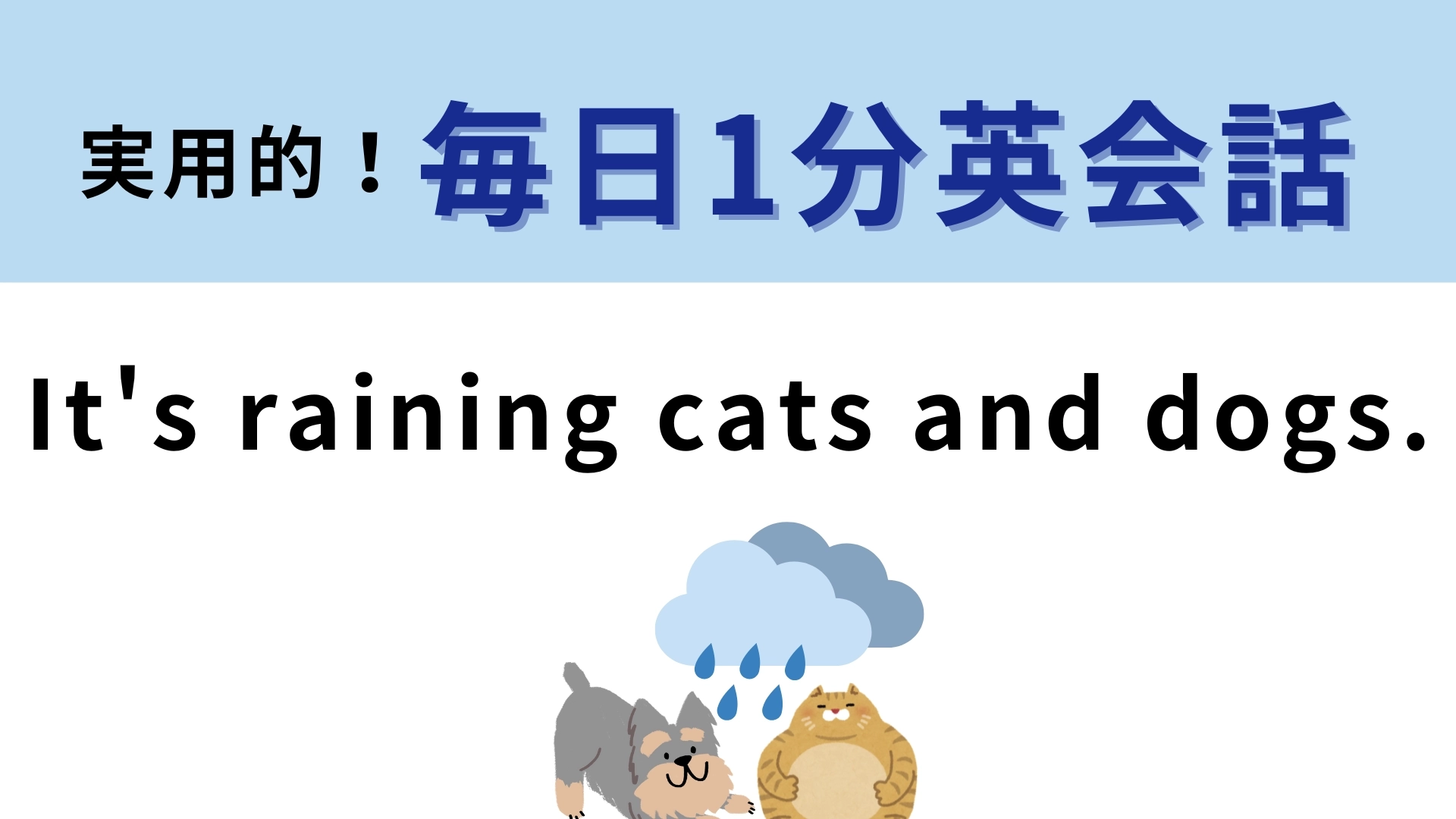 「It's raining cats and dogs.」の意味は?イヌやネコが降ってくるわけではない!
