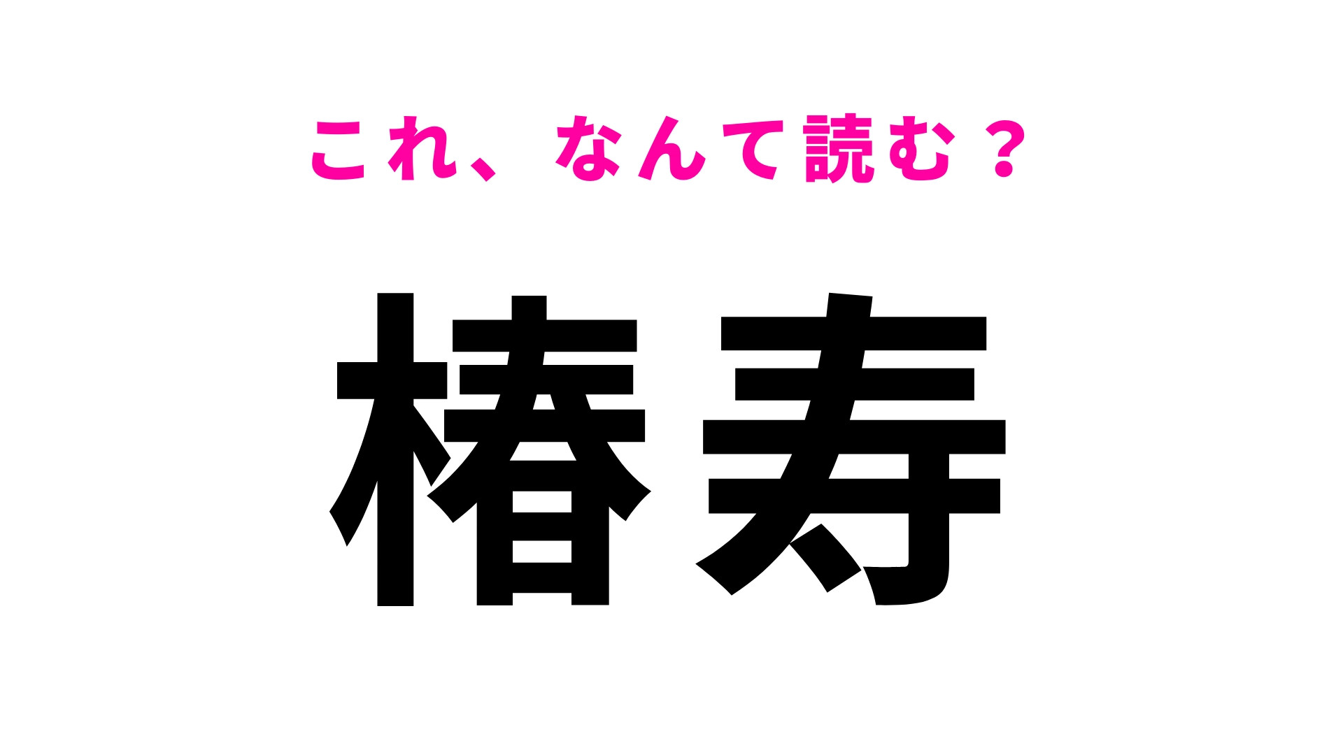 【椿寿】はなんて読む？長生きを意味する言葉！