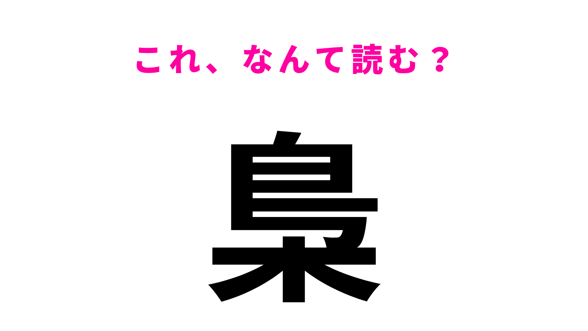 【梟】はなんて読む？丸くて大きい目が特徴的な夜行性の動物です！