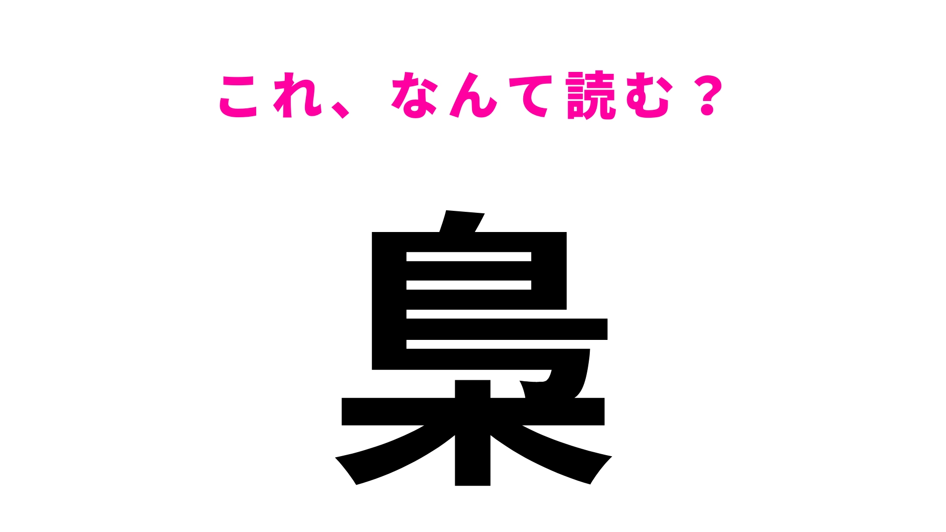 【梟】はなんて読む?丸くて大きい目が特徴的な夜行性の動物です!