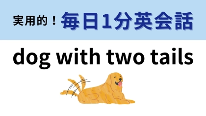 「dog with two tails」の意味は？犬がしっぽを振る様子をイメージして...！【1分英会話】