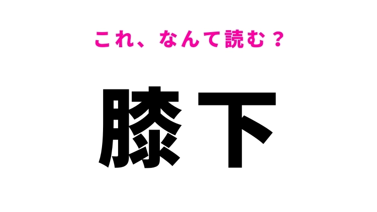 【漢字クイズ】「膝下」はなんて読む？「ひざもと」以外の読み方知ってる？