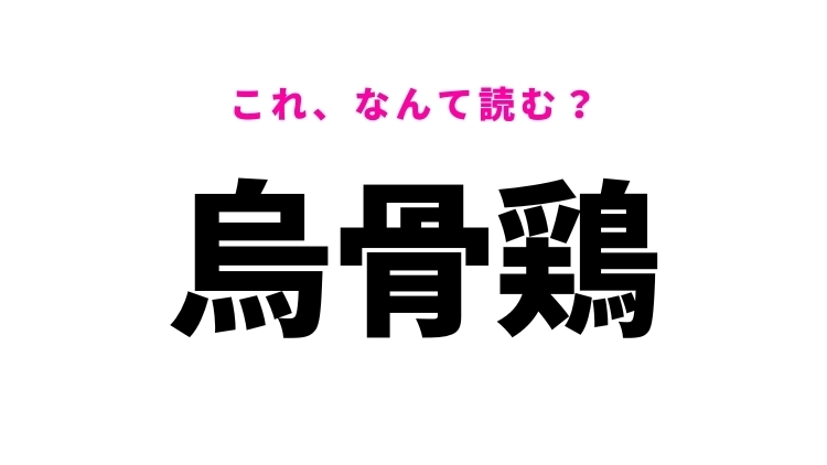 【漢字クイズ】「烏骨鶏」はなんて読む?ニワトリの仲間の鳥!