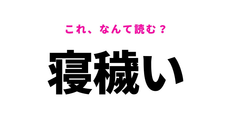 【寝穢い】はなんて読む？寝相が悪いという意味！