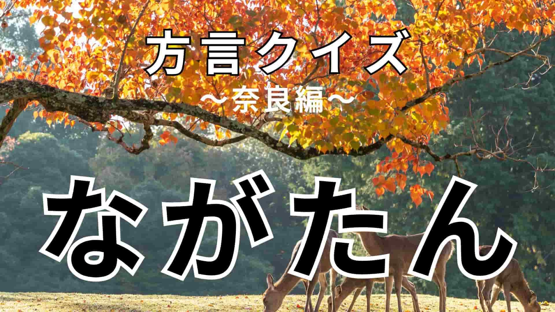 「ながたん」の意味は？答えを見たらびっくり！【方言クイズ】