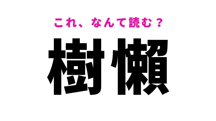 【漢字クイズ】「樹懶」はなんて読む？みんなが知ってる動物を表わす難読漢字！
