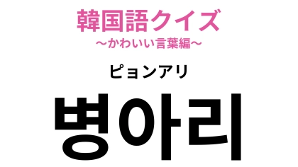 【韓国語クイズ】「병아리（ピョンアリ）」の意味は？ふわふわで黄色い動物♡