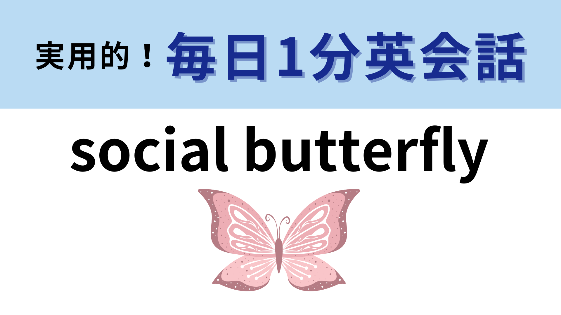 「social butterfly」の意味は？「社会的な蝶」ってどういうこと！？【1分英会話】