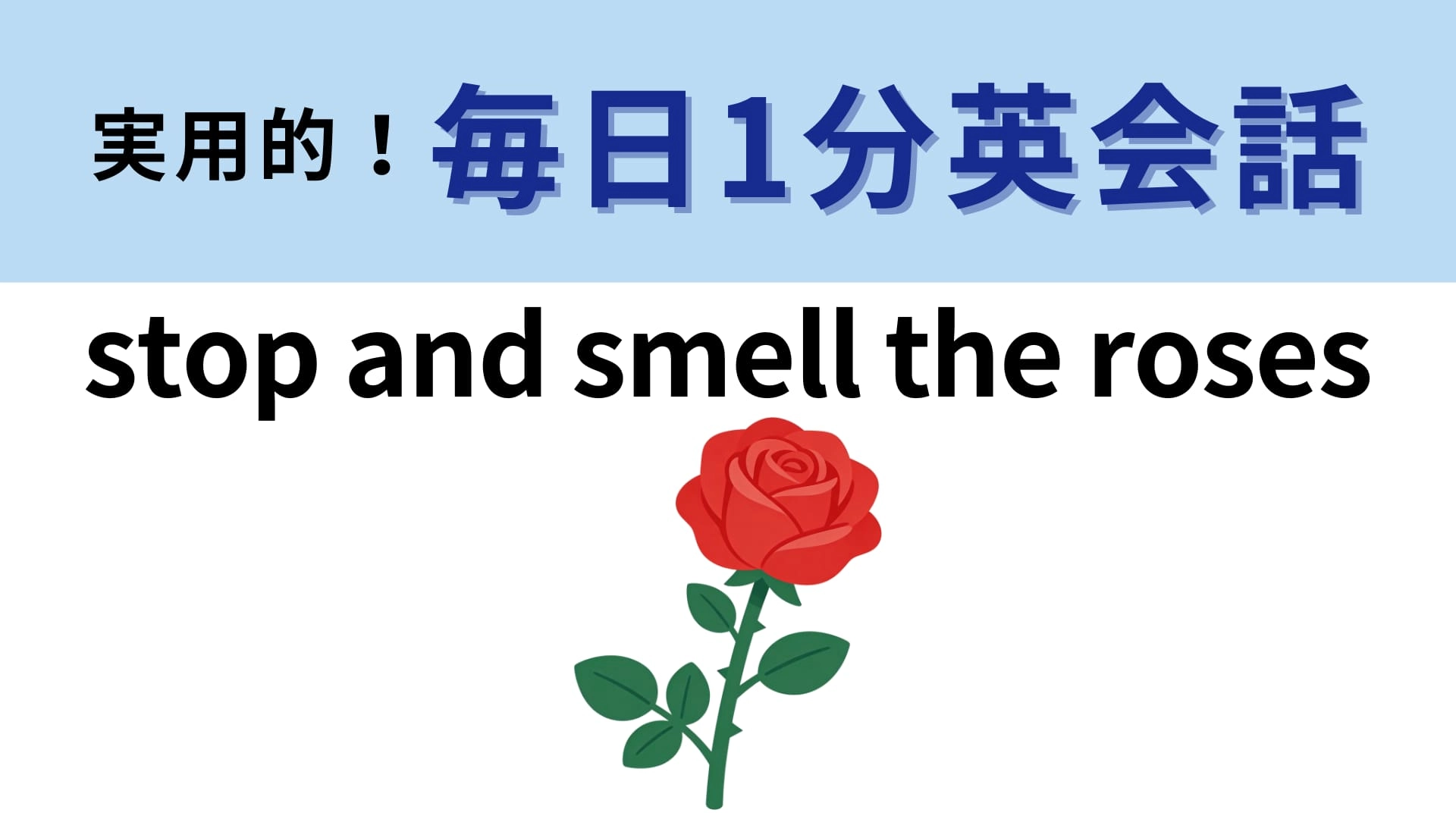 「stop and smell the roses」の意味は?バラの匂いを嗅ぐとどんな気分になる?【1分英会話】