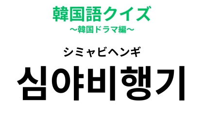 「심야비행기（シミャビヘンギ）」の意味は？旅行で使う人も多いかも！