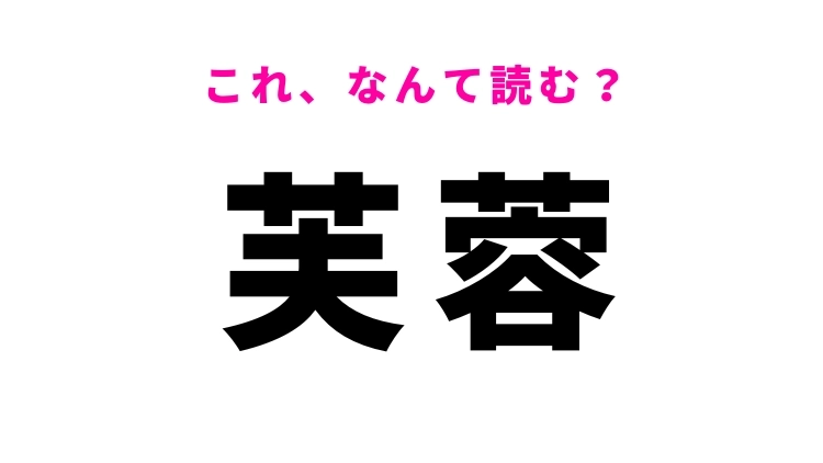 【漢字クイズ】「芙蓉」はなんて読む？花の名前を表す漢字！