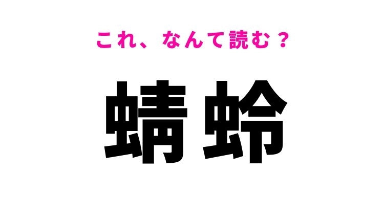 【蜻蛉】はなんて読む？風情あふれる昆虫を表す漢字！