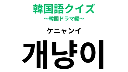「개냥이（ケニャンイ）」の意味は？こんな猫がいたらメロメロ…！？【韓国語クイズ】