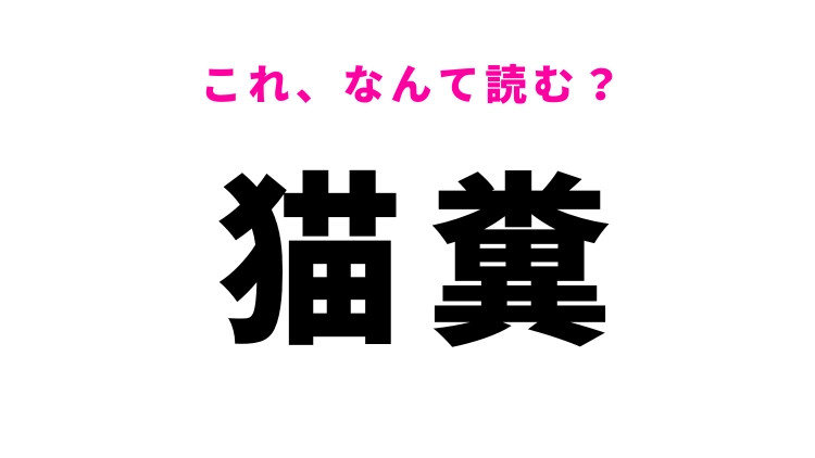 【猫糞】はなんて読む？悪事を隠すという意味！