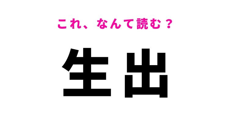 【生出】はなんて読む？岩手県の地名！